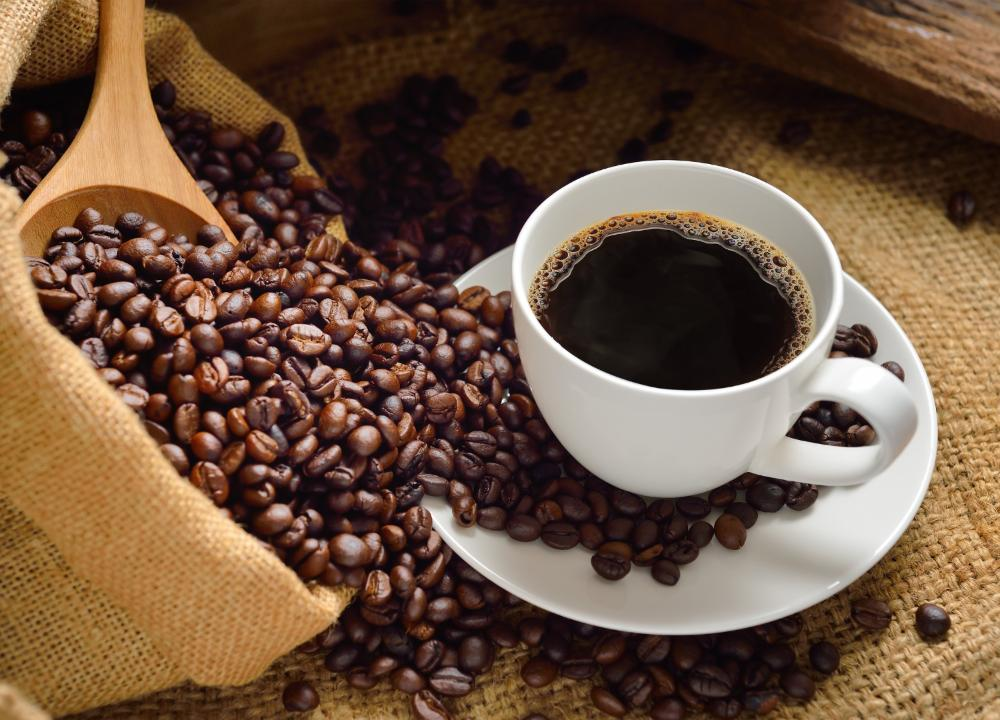 Concurso Qualidade do Café apresenta 328 amostras