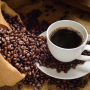 Concurso Qualidade do Café apresenta 328 amostras