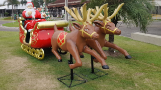 natal