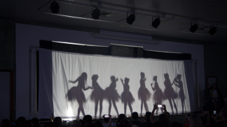 sombras teatro estudantes