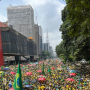 Confira como foi o ato Pró-Bolsonaro, neste domingo (25)