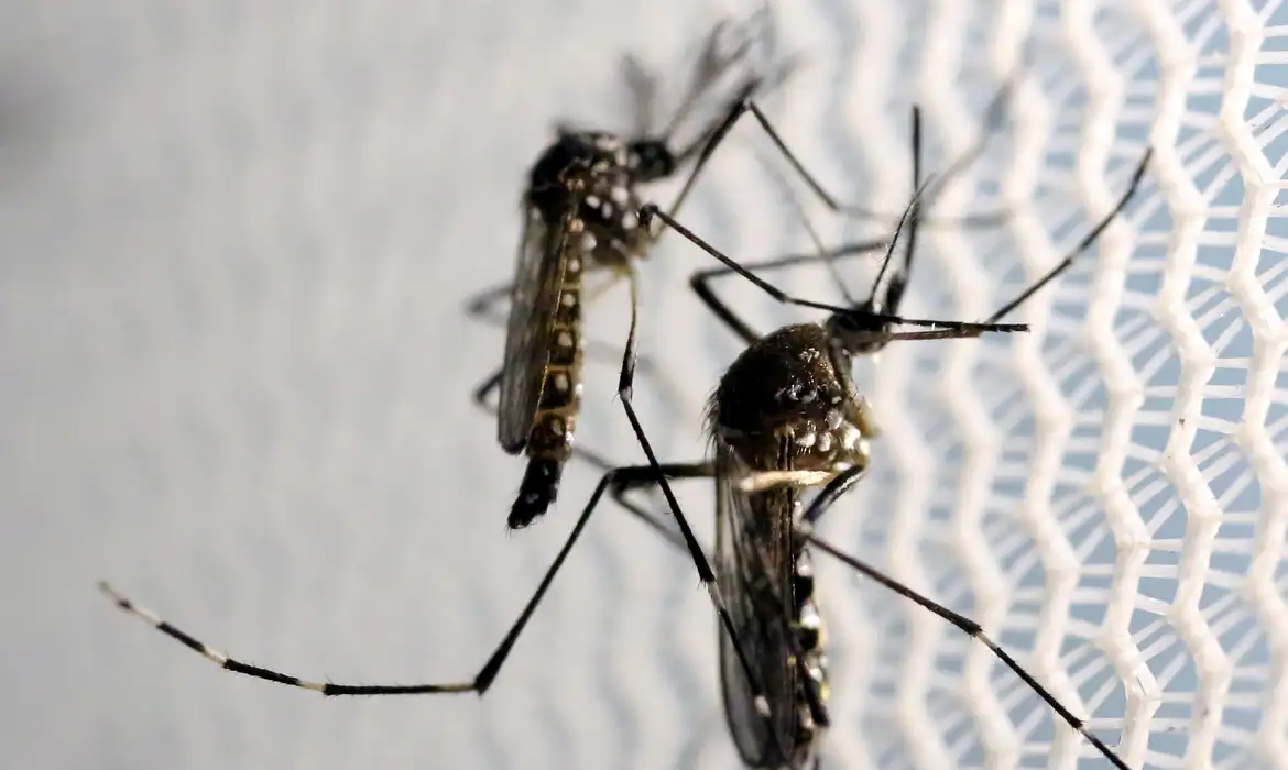 RMVale registra 69 mortes por dengue nesta quarta-feira (17)