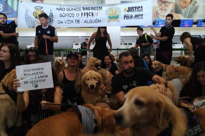 Manifestantes protestam pela morte do cão Joca 