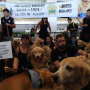 Manifestantes protestam pela morte do cão Joca 