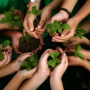 A relação aluno e meio ambiente - A importância de projetos ambientais na sua formação escolar