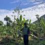 Projeto em quilombo de Ubatuba promove a sustentabilidade