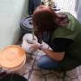 Casos de dengue caem na RMVale