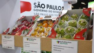 feira frutas e verduras