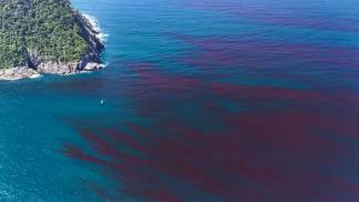 mare vermelha ilhabela