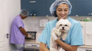 close-up-veterinarian-taking-care-pet-scaled