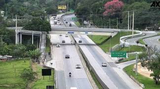 Tamoios jambeiro