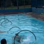 SJC: Mais 3 piscinas públicas serão abertas neste fim de semana