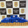 SJC: Polícia Civil apreende mais de 90 kg de maconha 