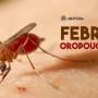 Ubatuba confirma primeiro caso de febre do Oropouche