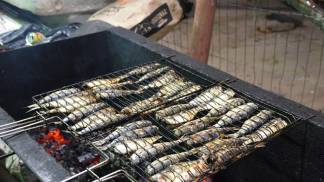 thumbnail_Vem aí a 13ª edição do Festival da Sardinha com novidades e sabores tradicionais
