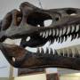 Cidades para visitar museus jurássicos em SP