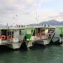 Aquabus amplia operação e começa atender em Ilhabela