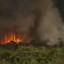 Desmatamento na Amazônia cresce 92% em maio de 2025