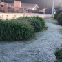 Campos do Jordão registra 1,3°C e tem manhã com geada