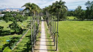 parque da cidade