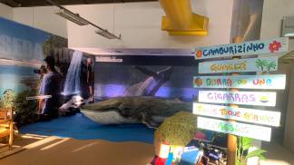 Lounge São Sebastião