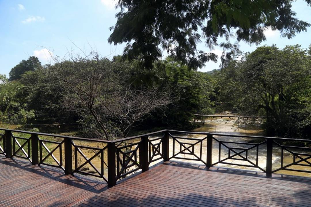 Divulgação