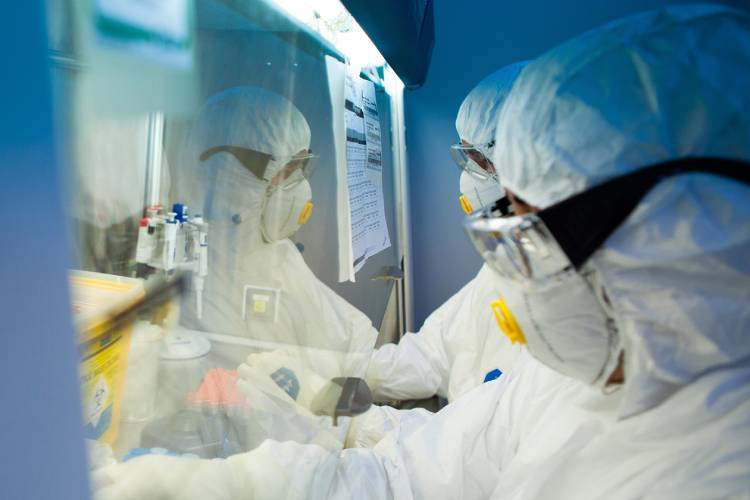 Anvisa aprova testes com vacina de gripe aviária do Butantan 