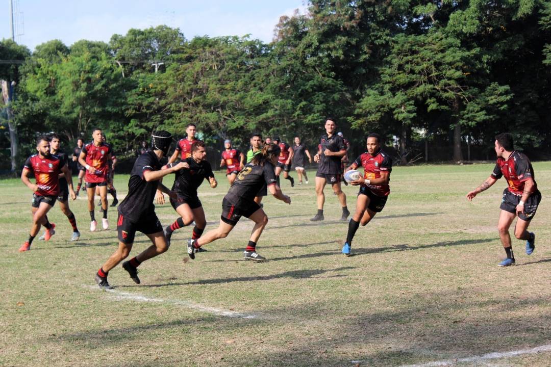 Divulgação