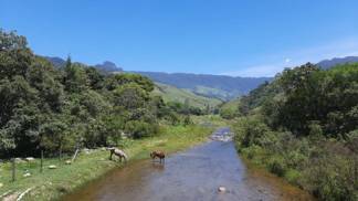 Ribeirão Guaratinguetá