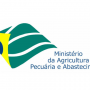 Governo busca novos mercados após tarifa dos EUA