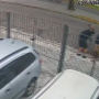 Pitbull sem focinheira fere gravemente cachorro em São José