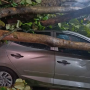 Ciclone provoca ventania e queda de temperatura em várias regiões do Brasil