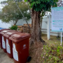 Urbam amplia compostagem com resíduos de restaurante
