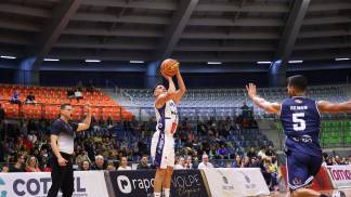 Mr. moo basquete