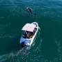Ibama multa barco que perseguiu baleia no Litoral Norte