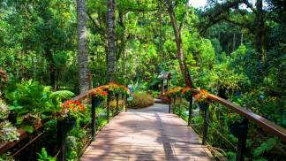 campos do jordão turismo