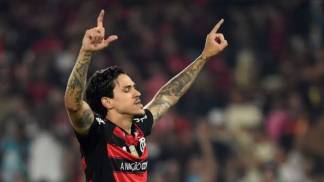 Pedro Flamengo