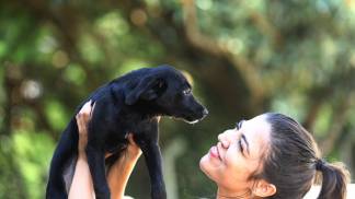 pet 
