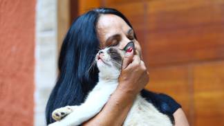 pet feliz 