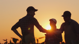 estado sp por do sol trabalho