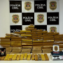 SJC: Polícia Civil apreende 81 kg de maconha 