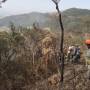 Incêndio atinge área de mata em Cruzeiro 