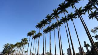 parque-cidade