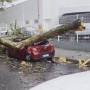 RMVale registra temporal e ventos de até 109 km/h nesta segunda (22)