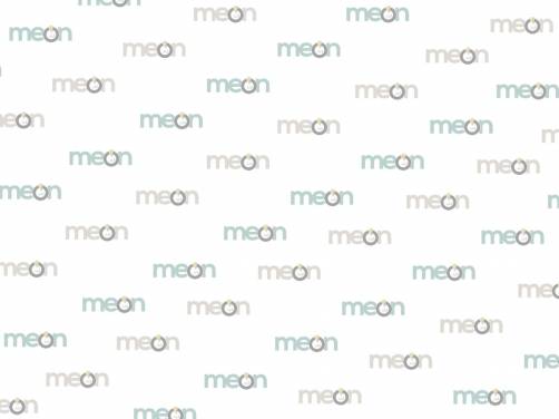 Meon