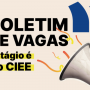 CIEE oferece mais de 6,4 mil vagas de estágio no Brasil
