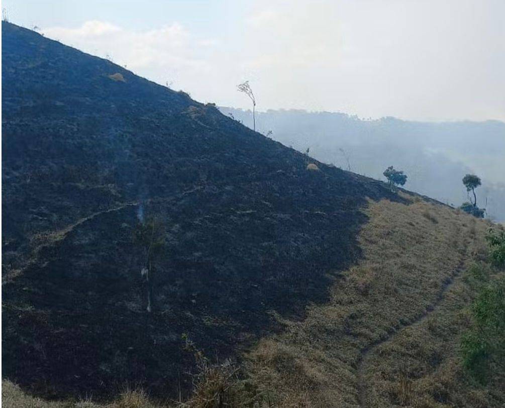 Queimada atinge Parque Estadual Serra do Mar, em Cunha