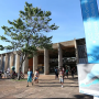 Universidades brasileiras desenvolvem testes rápidos para detectar metanol