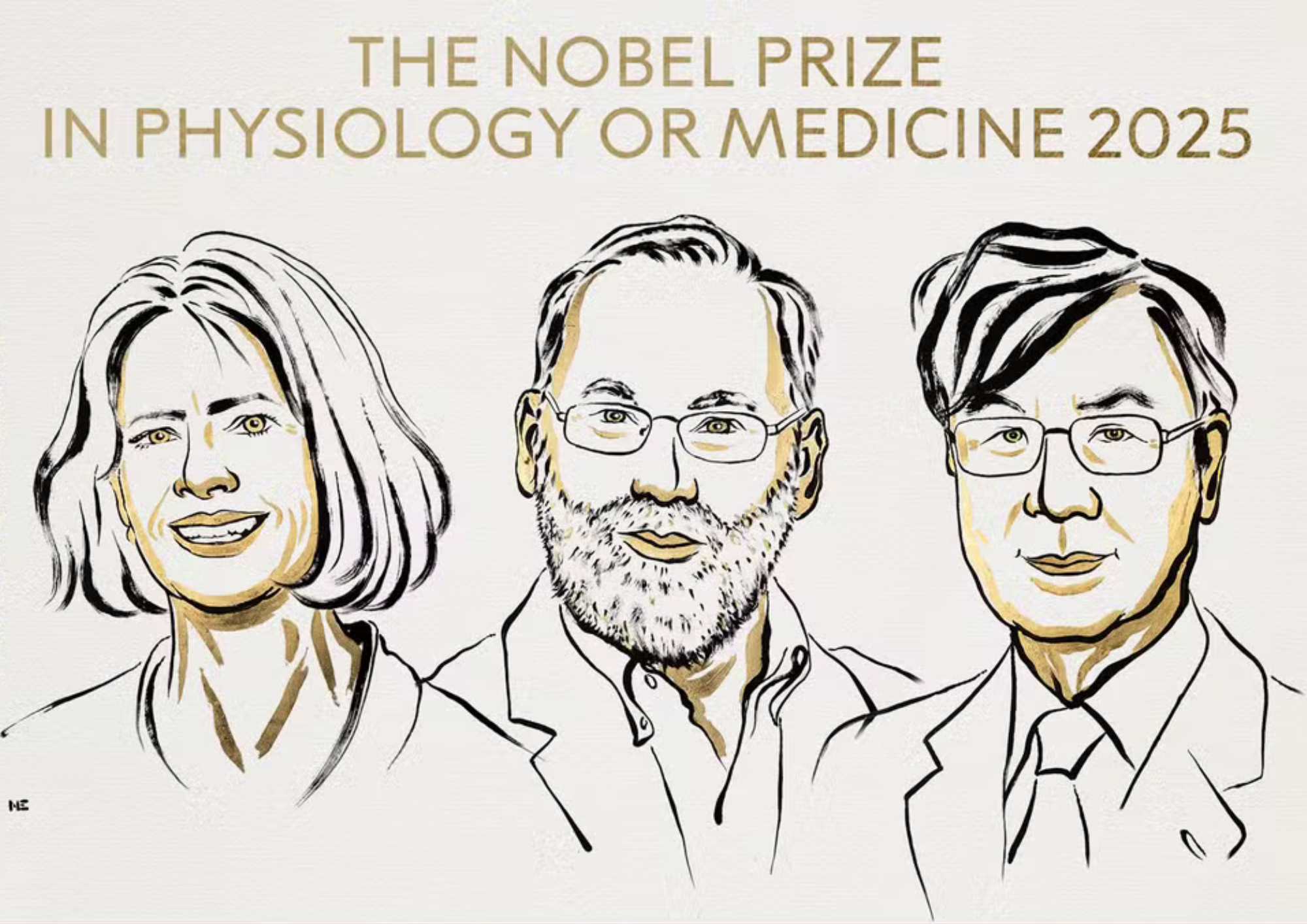 Nobel de Medicina 2025 premia descoberta sobre tolerância imunológica