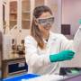 Bracell e MS Florestal abrem inscrições para trainees
